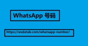 WhatsApp 号码