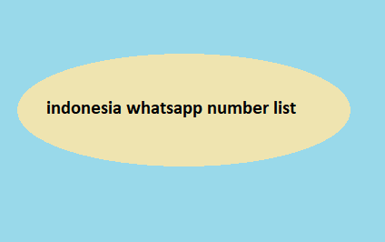 indonesia whatsapp number list​